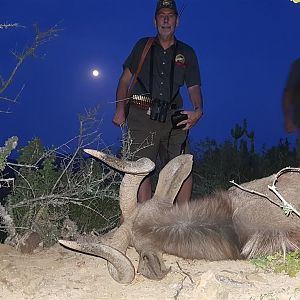 South Africa Hunting Nyala