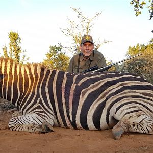 South Africa Hunt Burchell's Plain Zebra