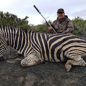 South Africa Hunting Burchell's Plain Zebra