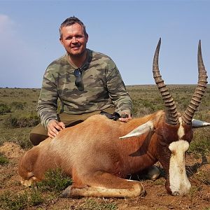 South Africa Hunt Blesbok