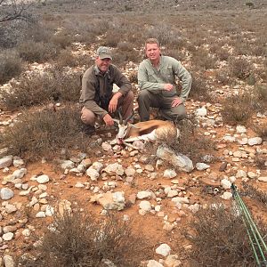 Springbok Hunt in South Africa