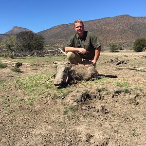 Warthog Hunting in South Africa