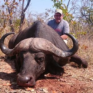 Cape Buffalo Hunt in Zimbabwe