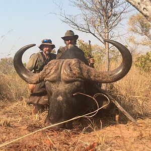 Cape Buffalo Hunting in Zimbabwe