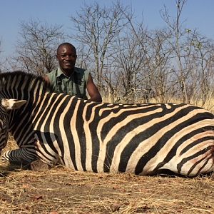 Zimbabwe Hunt Burchell's Plain Zebra