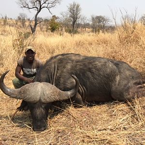 Zimbabwe Hunt Cape Buffalo