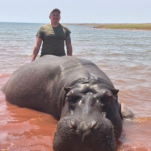 Hunt Hippo Zimbabwe