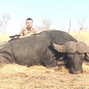 Zimbabwe Hunting Cape Buffalo