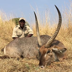 Waterbuck Hunt in Zimbabwe