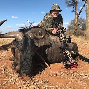 Blue Wildebeest Trophy