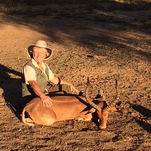 South Africa  Hunting Impala