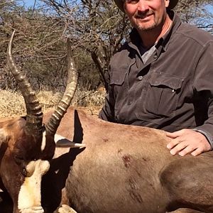 Impala Hunt South Africa