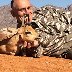 Steenbok Hunting South Africa