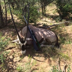 Hunting Gemsbok in Namibia