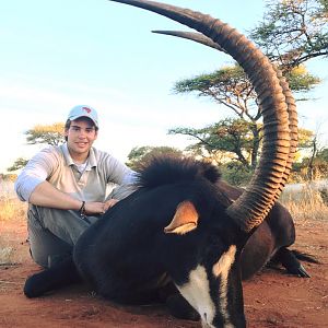 Sable Antelope Hunt South Africa