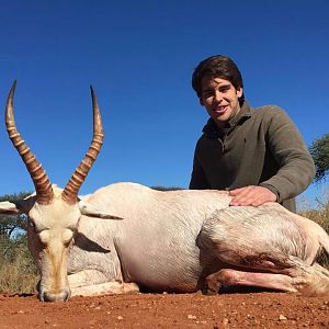 South Africa Hunting White Blesbok