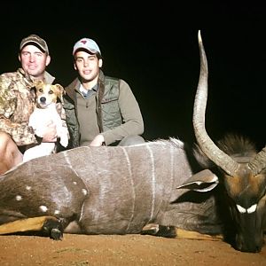 Hunting Nyala South Africa