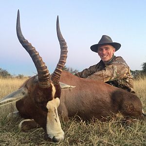 Hunting Blesbok South Africa