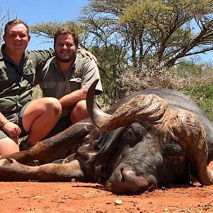 Cape Buffalo Hunt South Africa