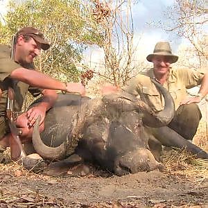 TANZANIA BUFFALO HUNTING WITH GAME TRACKERS AFRICA