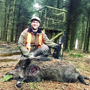 Hog Hunting Germany