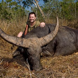 Asiatic Water Buffalo Hunt