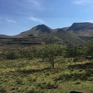 Hunting Area South Africa