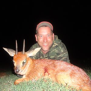 South Africa Hunting Cape Grysbok