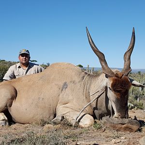 South Africa Hunt Eland