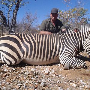 Namibia Hunting Hartmann's Mountain Zebra