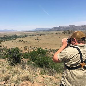 Glassing Game South Africa