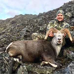 Alaskan Dall Sheep Hunt