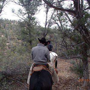 Mountain Lion Hunt in Arizona