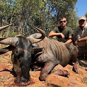 Blue Wildebeest Hunting South Africa