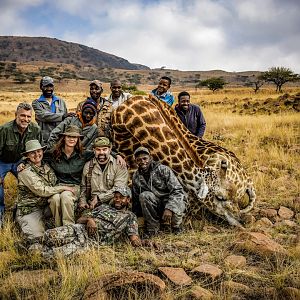 Hunt Giraffe in South Africa