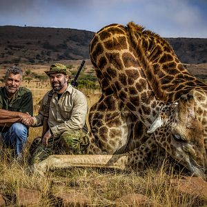 Giraffe Hunting South Africa