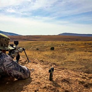 Hunt Black Wildebeest in South Africa