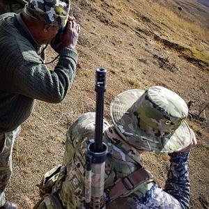 South Africa Hunt Black Wildebeest