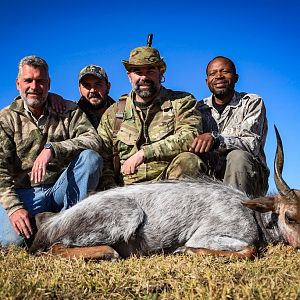 South Africa Hunt "White" Bushbuck