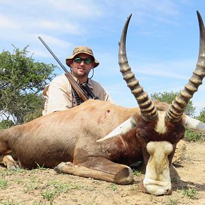 South Africa Hunt Blesbok