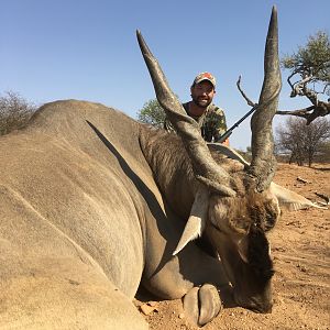 Eland Hunt in Namibia