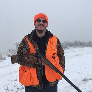 Upland Bird Hunting