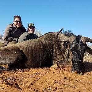 South Africa Hunting Blue Wildebeest