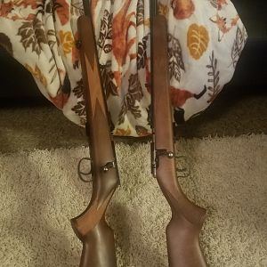 Anschutz .22 LR Sporters - Righty & Lefty