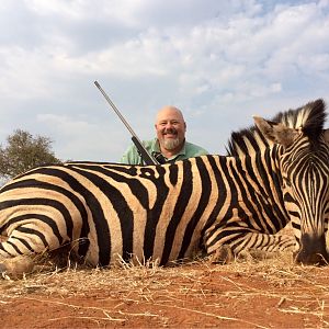 Burchell's Plain Zebra Hunting South Africa