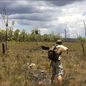 Hunting Asiatic Water Buffalo with .500 Jeffery in Arnhemland Australia