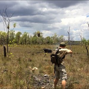 Hunting Asiatic Water Buffalo with .500 Jeffery in Arnhemland Australia