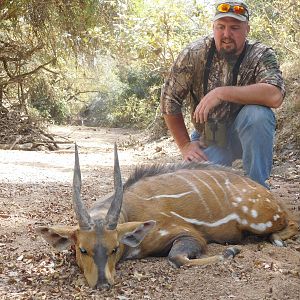 Burkina Faso Hunt Harnessed Bushbuck