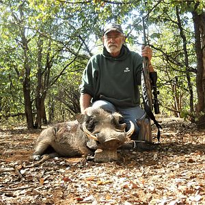 South Africa Hunting Warthog