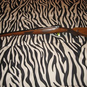 MS 1910 9.5x57 Full Stock rifle